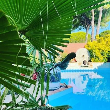 Hebergement Insolite Studio Grau Du Roi Mas Des Marines Piscine เลอ โกร-ดู-รัว ภายนอก รูปภาพ