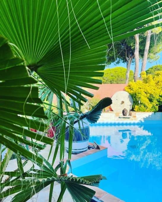 Hebergement Insolite Studio Grau Du Roi Mas Des Marines Piscine เลอ โกร-ดู-รัว ภายนอก รูปภาพ