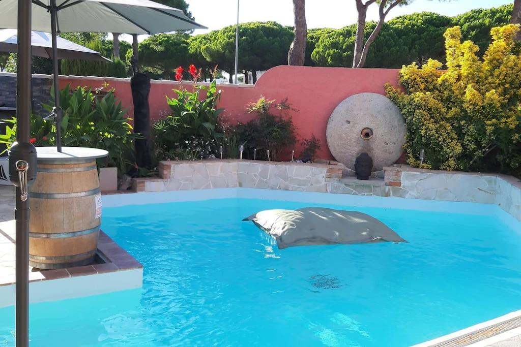 Hebergement Insolite Studio Grau Du Roi Mas Des Marines Piscine เลอ โกร-ดู-รัว ภายนอก รูปภาพ